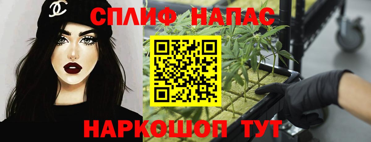 Каннабис планчик Севастополь